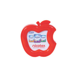 Plastic Paper Weight (Apple Shape)