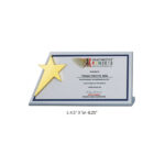 Star Award (Silver)