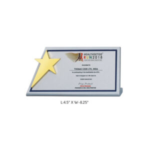Star Award (Silver)